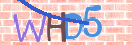 验证图片