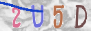 验证图片