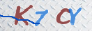 验证图片