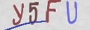 验证图片