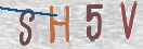 验证图片