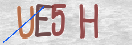 验证图片