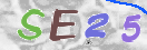 验证图片