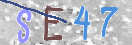 验证图片