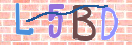 验证图片