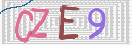 验证图片
