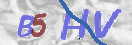 验证图片