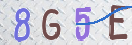 验证图片