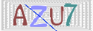 验证图片
