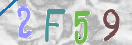 验证图片