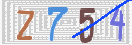 验证图片