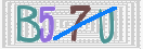 验证图片