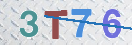 验证图片