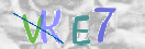 验证图片