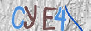 验证图片