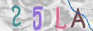 验证图片