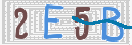 验证图片