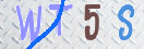 验证图片