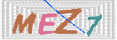 验证图片