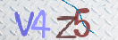 验证图片