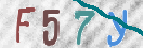 验证图片