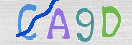 验证图片