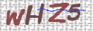 验证图片