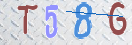 验证图片