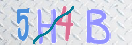 验证图片