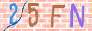 验证图片