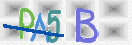 验证图片