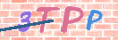 验证图片