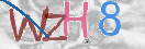 验证图片