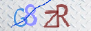 验证图片