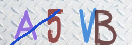 验证图片