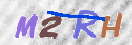 验证图片