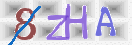 验证图片