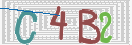 验证图片