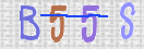 验证图片