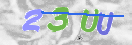 验证图片