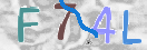 验证图片