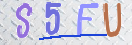 验证图片