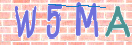 验证图片