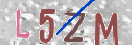 验证图片