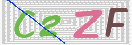 验证图片