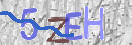 验证图片