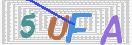 验证图片