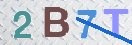 验证图片