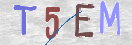 验证图片