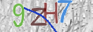 验证图片